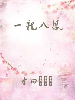 一龙八凤