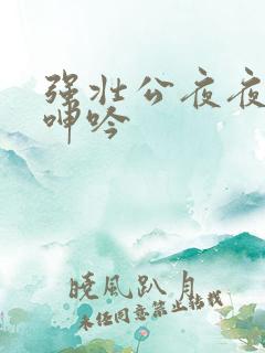 强壮公夜夜使我呻吟