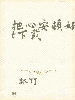 把心安顿好txt下载