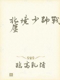 北境少帅战神苏尘