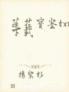 莲花宝鉴txt下载