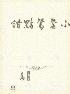错点鸳鸯小说