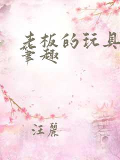 老板的玩具小米笔趣