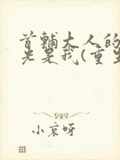 首辅大人的白月光是我(重生)