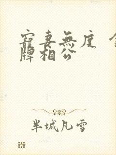 宠妻无度  金牌相公