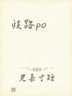 歧路po