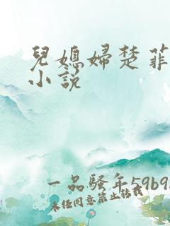 儿媳妇楚菲菲的小说