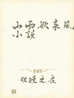 山雨欲来风满楼小说