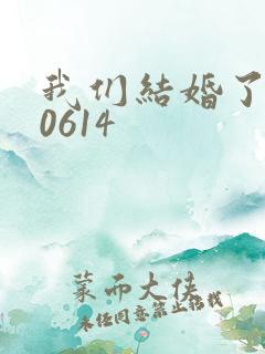 我们结婚了130614