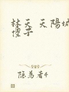 林天 天阳城 傻子
