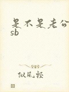 是不是老公的小sb