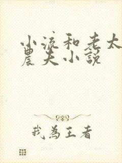 小流和老太69农夫小说