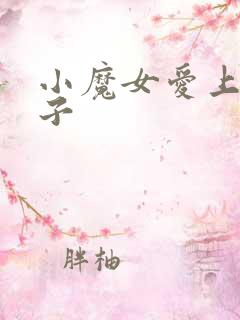 小魔女爱上皇太子