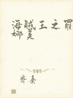 海贼王之罗宾h娜美