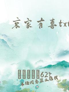 哀家有喜txt
