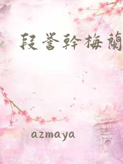 段誉干梅兰竹菊