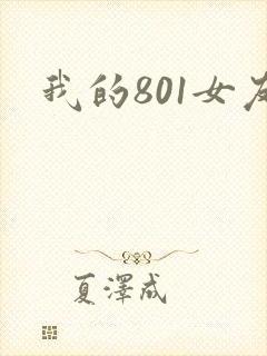 我的801女友
