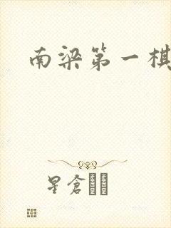 南梁第一棋手