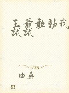 王爷敢动我妈咪试试