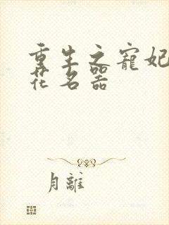 重生之宠妃白莲花名器