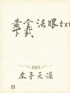 黄金法眼txt下载