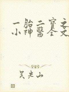 一胎二宝之弃妃小神医全文免费阅读