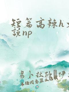 短篇高辣h文小说np