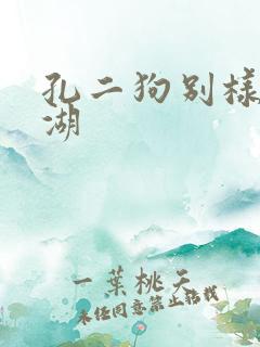 孔二狗别样的江湖