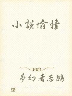小说偷情