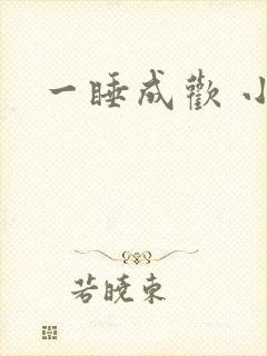 一睡成欢 小说