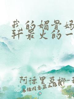 我的媚骨妈妈林轩最火的一句