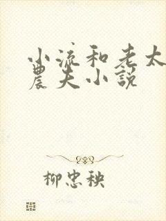 小流和老太69农夫小说