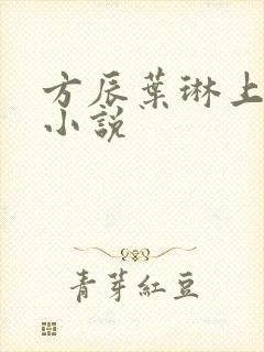 方辰叶琳上官步小说