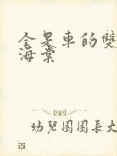 全是车的双男主海棠