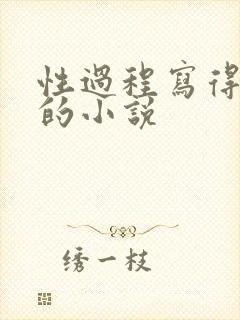 性过程写得详细的小说