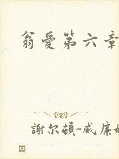 翁爱第六章