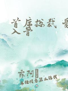 首席总裁 爱你入骨