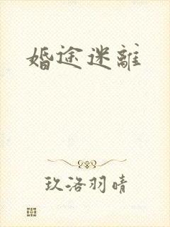 婚途迷离