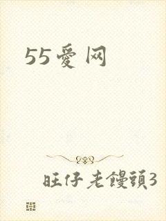 55爱网