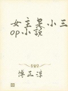 女主是小三的pop小说