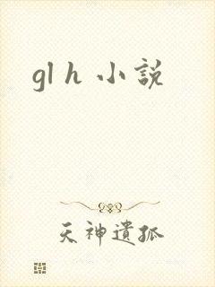 gl h 小说