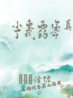 小东西你真能要了我的命