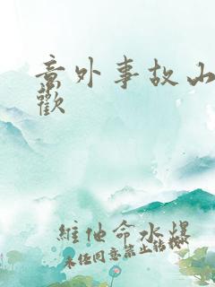 意外事故山月辞欢