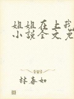 姐姐在上我在下小说全文免费阅读