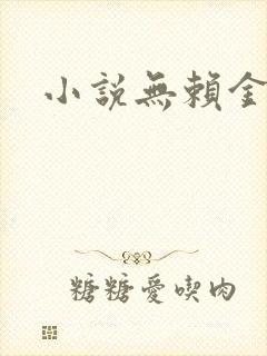 小说无赖金仙