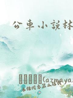 公车小说林蔓蔓