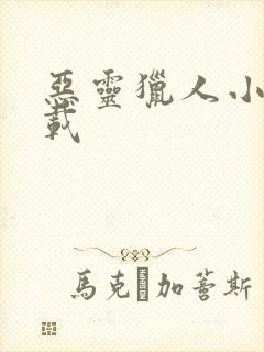 恶灵猎人小说下载