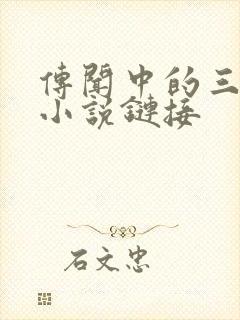 传闻中的三公主小说链接