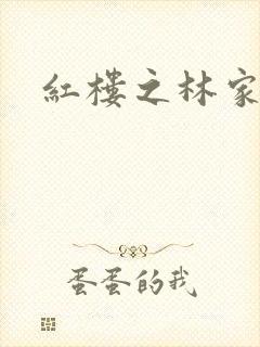 红楼之林家有妻