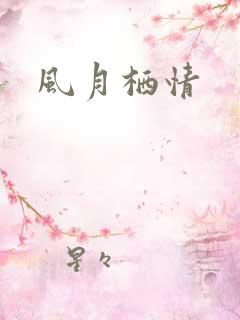 风月栖情